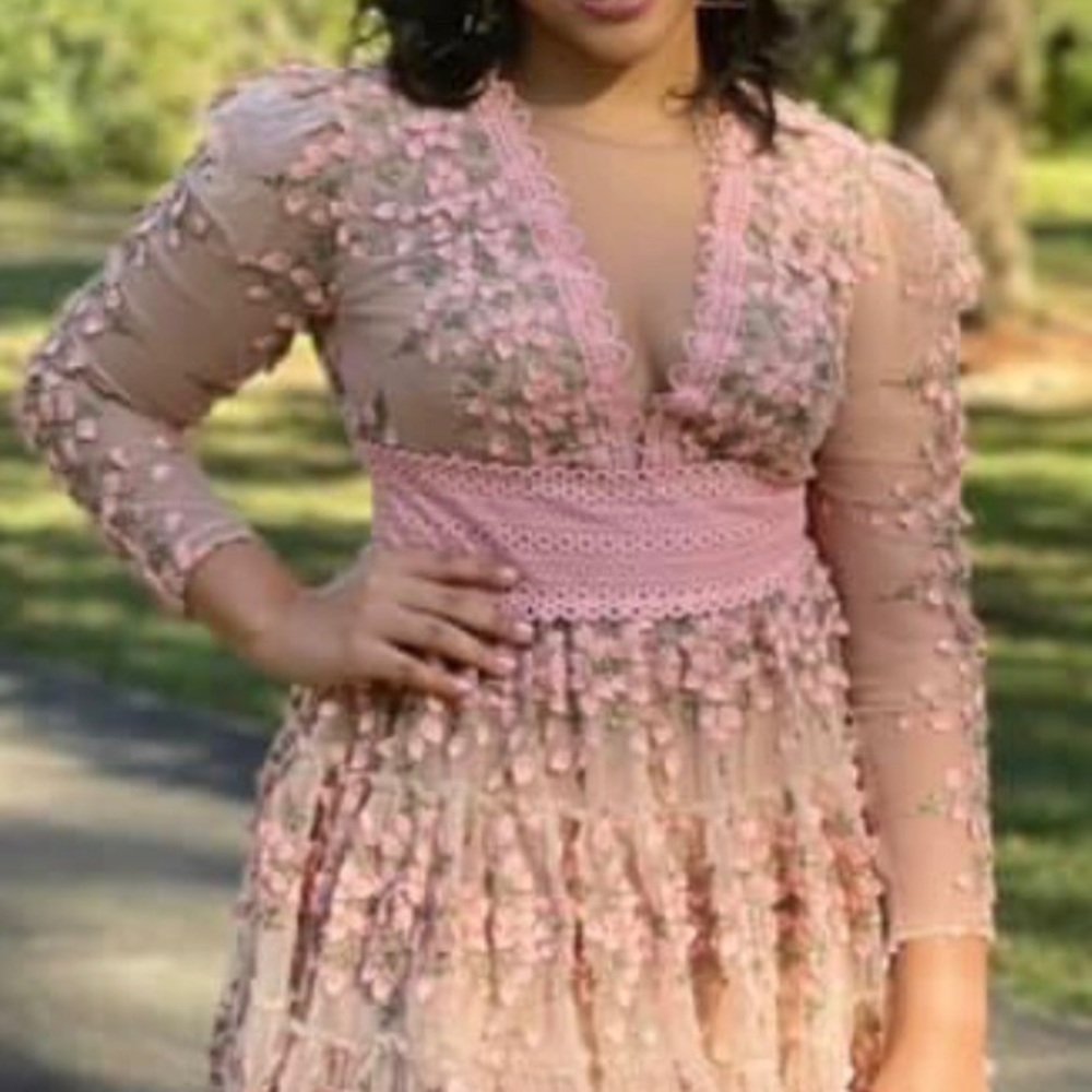 Bronx and Banco Romantic Mini Dress with Floral Appliqué